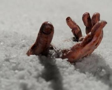 Счет умершим от голода и холода пошел на тысячи Счет умершим от голода и холода пошел на тысячи