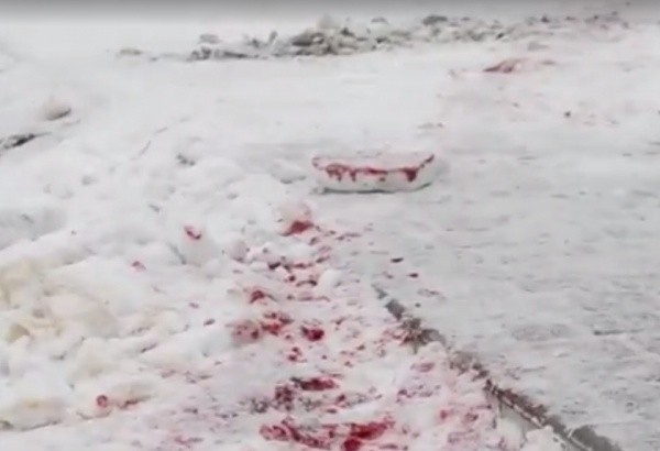 На западе Украины бушует война... за янтарь На западе Украины бушует война... за янтарь