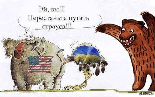 Все, что нужно знать об украинской власти и ее идеологии