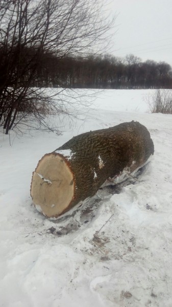 Это Украина, детка... а анархия - мать порядка