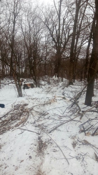 Это Украина, детка... а анархия - мать порядка