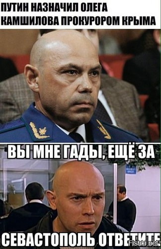 "Мыздобулы" в картинках. Смешных и не очень... 12-02-2017 "Мыздобулы" в картинках. Смешных и не очень... 12-02-2017