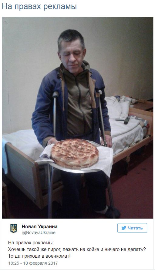 "Мыздобулы" в картинках. Смешных и не очень... 12-02-2017 "Мыздобулы" в картинках. Смешных и не очень... 12-02-2017