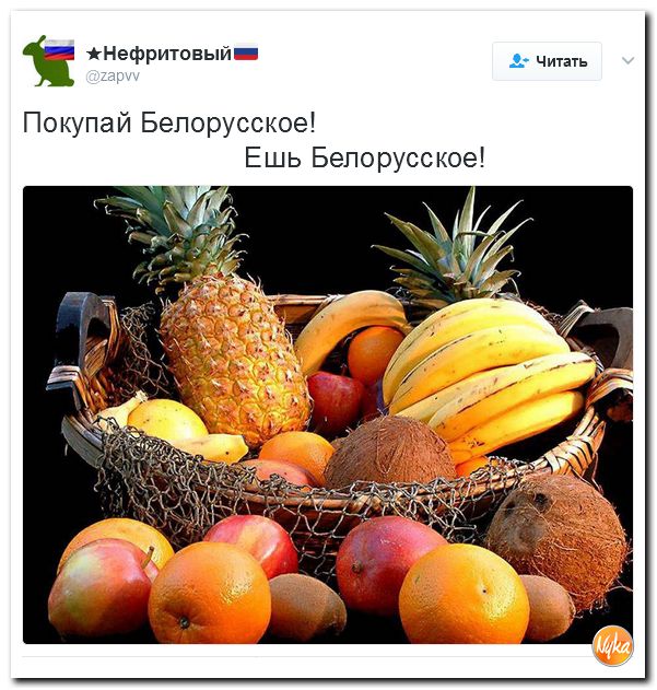 "Мыздобулы" в картинках. Смешных и не очень... 12-02-2017 "Мыздобулы" в картинках. Смешных и не очень... 12-02-2017