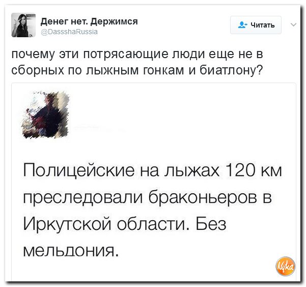 "Мыздобулы" в картинках. Смешных и не очень... 12-02-2017 "Мыздобулы" в картинках. Смешных и не очень... 12-02-2017