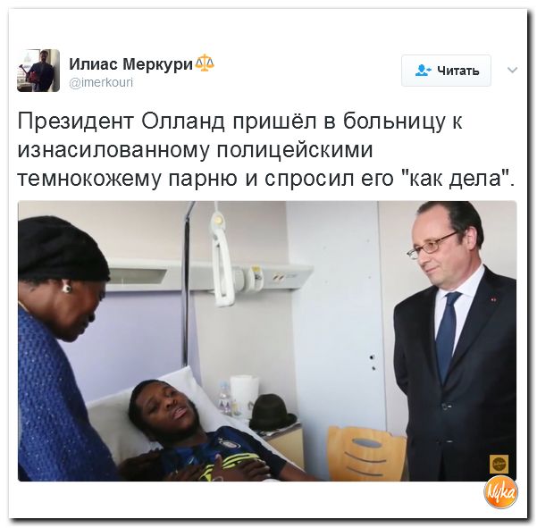 "Мыздобулы" в картинках. Смешных и не очень... 12-02-2017 "Мыздобулы" в картинках. Смешных и не очень... 12-02-2017