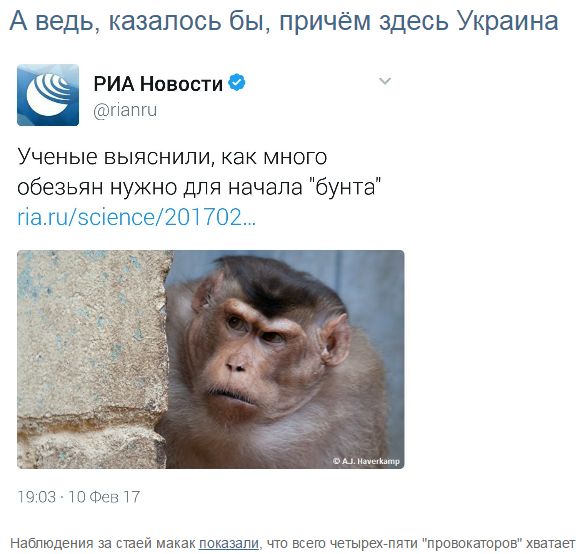 "Мыздобулы" в картинках. Смешных и не очень... 12-02-2017 "Мыздобулы" в картинках. Смешных и не очень... 12-02-2017