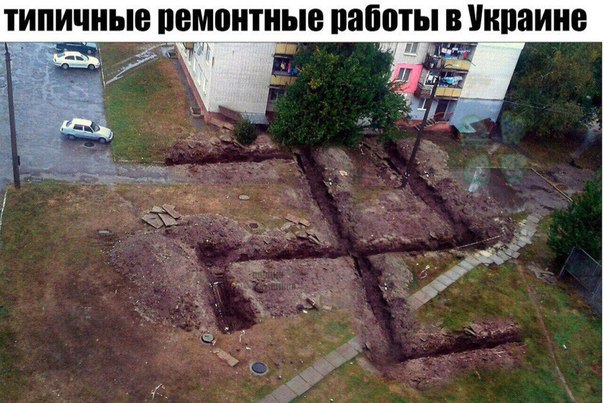 "Мыздобулы" в картинках. Смешных и не очень... 12-02-2017 "Мыздобулы" в картинках. Смешных и не очень... 12-02-2017