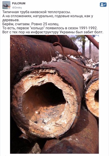 "Мыздобулы" в картинках. Смешных и не очень... 12-02-2017 "Мыздобулы" в картинках. Смешных и не очень... 12-02-2017