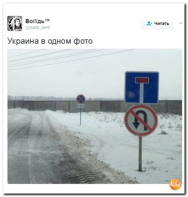 "Мыздобулы" в картинках. Смешных и не очень... 12-02-2017 "Мыздобулы" в картинках. Смешных и не очень... 12-02-2017