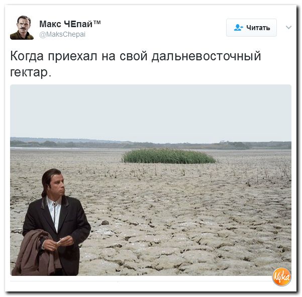 "Мыздобулы" в картинках. Смешных и не очень... 12-02-2017 "Мыздобулы" в картинках. Смешных и не очень... 12-02-2017