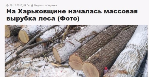 "Мыздобулы" в картинках. Смешных и не очень... 12-02-2017 "Мыздобулы" в картинках. Смешных и не очень... 12-02-2017