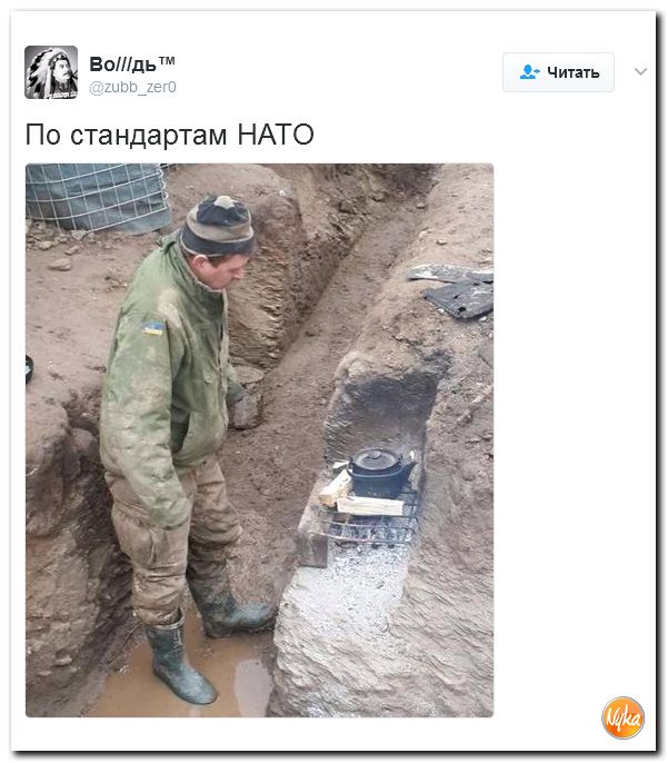 "Мыздобулы" в картинках. Смешных и не очень... 12-02-2017 "Мыздобулы" в картинках. Смешных и не очень... 12-02-2017