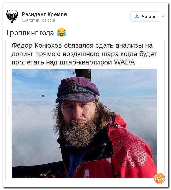 "Мыздобулы" в картинках. Смешных и не очень... 12-02-2017 "Мыздобулы" в картинках. Смешных и не очень... 12-02-2017