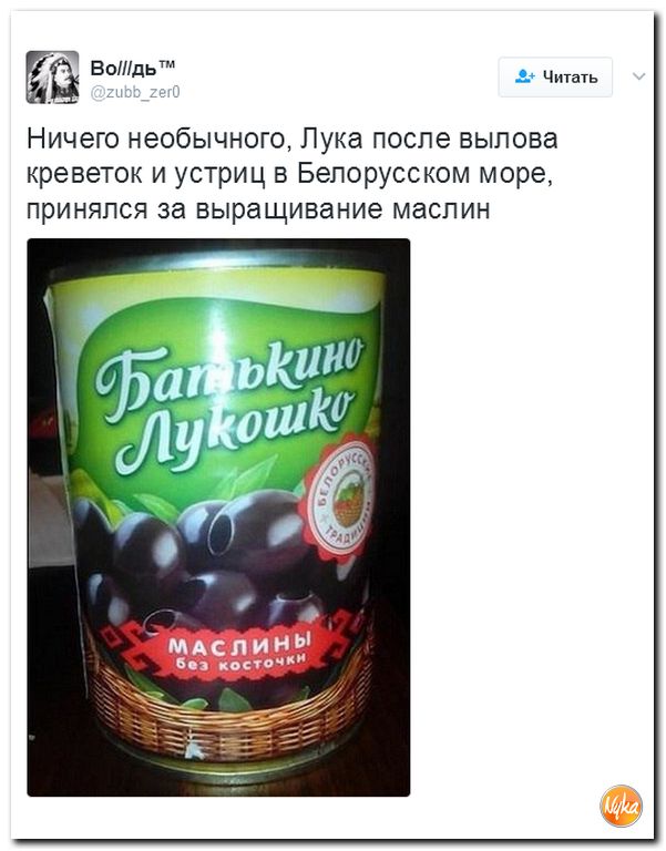 "Мыздобулы" в картинках. Смешных и не очень... 12-02-2017 "Мыздобулы" в картинках. Смешных и не очень... 12-02-2017