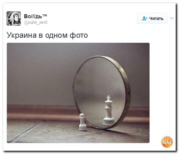 "Мыздобулы" в картинках. Смешных и не очень... 12-02-2017 "Мыздобулы" в картинках. Смешных и не очень... 12-02-2017