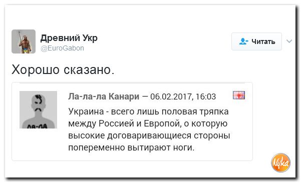 "Мыздобулы" в картинках. Смешных и не очень... 12-02-2017 "Мыздобулы" в картинках. Смешных и не очень... 12-02-2017