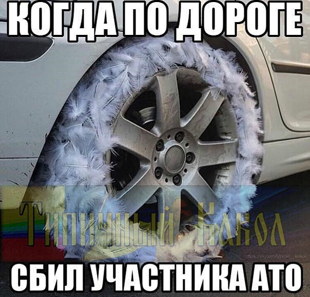 "Мыздобулы" в картинках. Смешных и не очень... 12-02-2017 "Мыздобулы" в картинках. Смешных и не очень... 12-02-2017