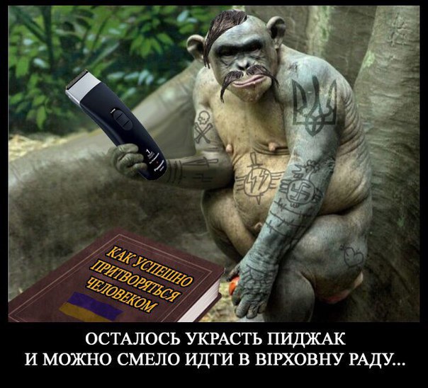 "Мыздобулы" в картинках. Смешных и не очень... 12-02-2017 "Мыздобулы" в картинках. Смешных и не очень... 12-02-2017