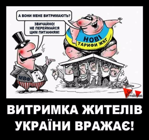 "Мыздобулы" в картинках. Смешных и не очень... 12-02-2017 "Мыздобулы" в картинках. Смешных и не очень... 12-02-2017