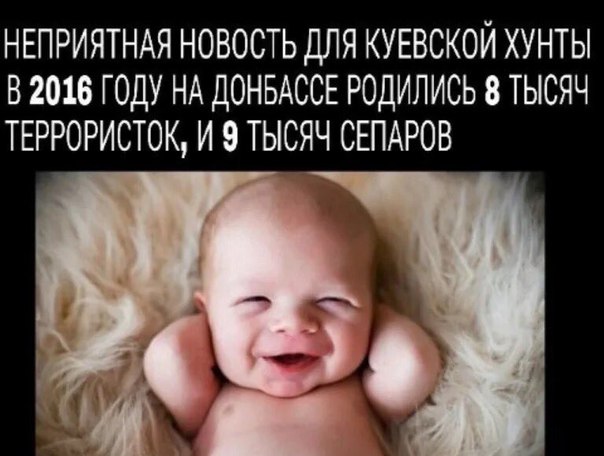 "Мыздобулы" в картинках. Смешных и не очень... 12-02-2017 "Мыздобулы" в картинках. Смешных и не очень... 12-02-2017