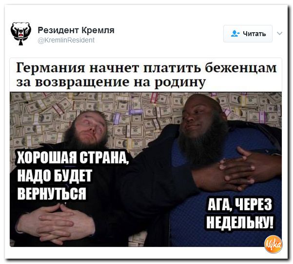 "Мыздобулы" в картинках. Смешных и не очень... 12-02-2017 "Мыздобулы" в картинках. Смешных и не очень... 12-02-2017