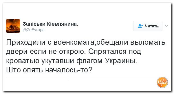 "Мыздобулы" в картинках. Смешных и не очень... 12-02-2017 "Мыздобулы" в картинках. Смешных и не очень... 12-02-2017