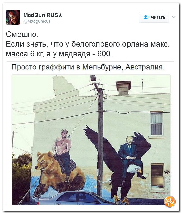 "Мыздобулы" в картинках. Смешных и не очень... 12-02-2017 "Мыздобулы" в картинках. Смешных и не очень... 12-02-2017