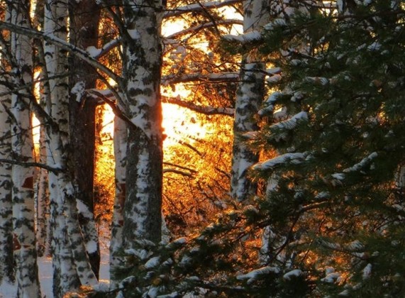 Минск не гарантирует безопасность даже официальным представителям России