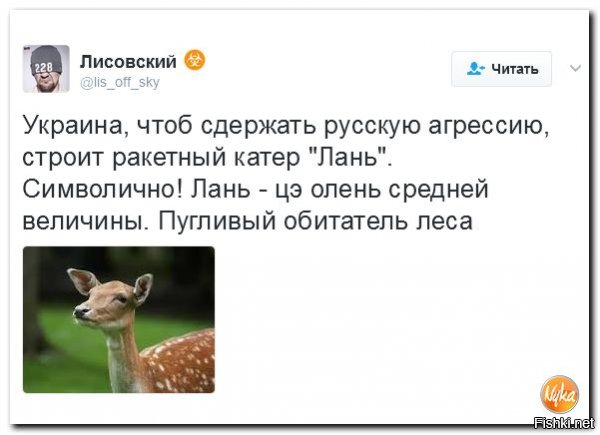 "Мыздобулы" в картинках. Смешных и не очень... 13-02-2017