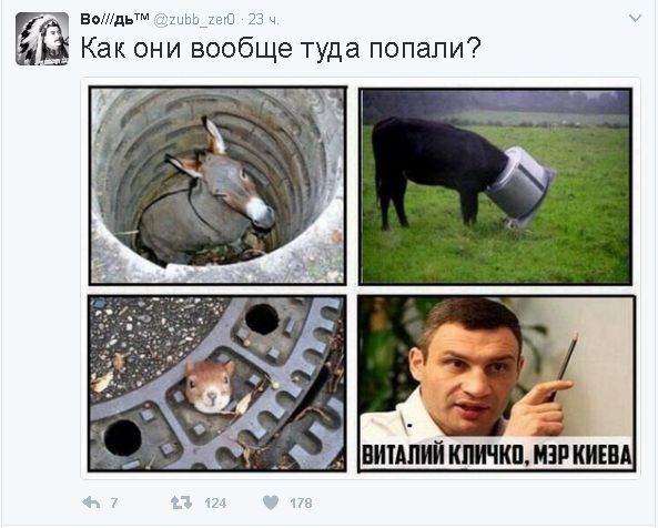 "Мыздобулы" в картинках. Смешных и не очень... 13-02-2017