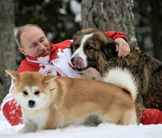 «Евровидение» как отражение агрессии Кремля. Александр Зубченко