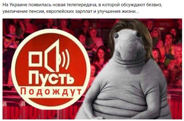 "Мыздобулы" в картинках. Смешных и не очень... 14-02-2017