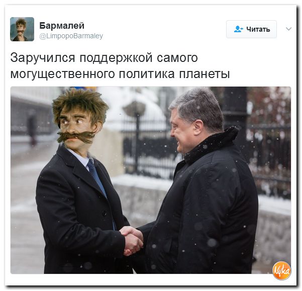 "Мыздобулы" в картинках. Смешных и не очень... 14-02-2017