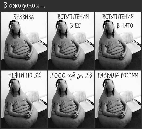 "Мыздобулы" в картинках. Смешных и не очень... 14-02-2017