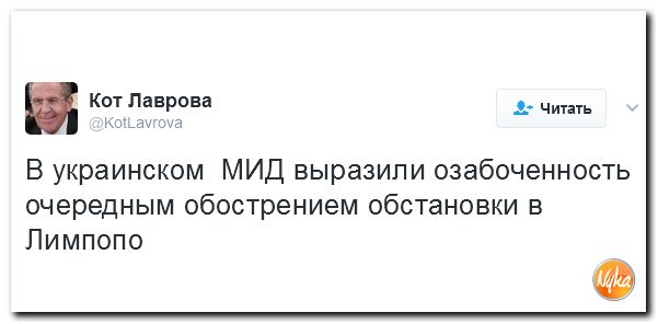 "Мыздобулы" в картинках. Смешных и не очень... 14-02-2017