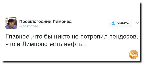 "Мыздобулы" в картинках. Смешных и не очень... 14-02-2017