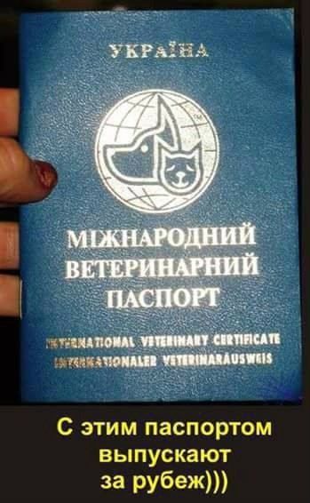 "Мыздобулы" в картинках. Смешных и не очень... 15-02-2017