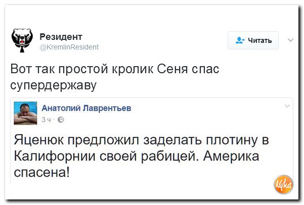 "Мыздобулы" в картинках. Смешных и не очень... 15-02-2017