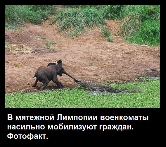 "Мыздобулы" в картинках. Смешных и не очень... 15-02-2017