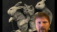 "Тагически насдение итиуско и 1989 год" - Порошенко, Нищук и просто Виталик.