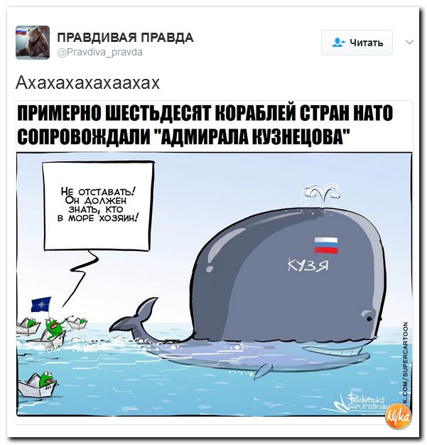 "Мыздобулы" в картинках. Смешных и не очень... 16-02-2017