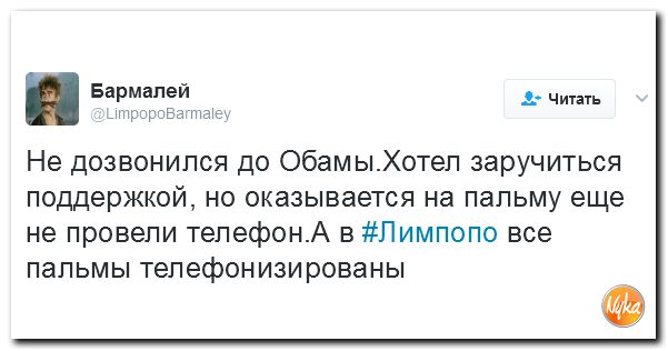 "Мыздобулы" в картинках. Смешных и не очень... 16-02-2017