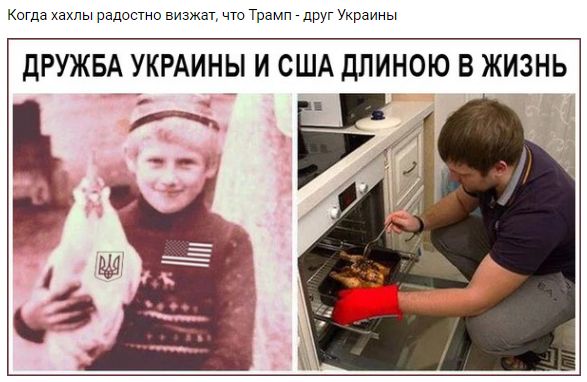 "Мыздобулы" в картинках. Смешных и не очень... 16-02-2017