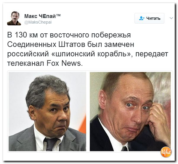 "Мыздобулы" в картинках. Смешных и не очень... 16-02-2017