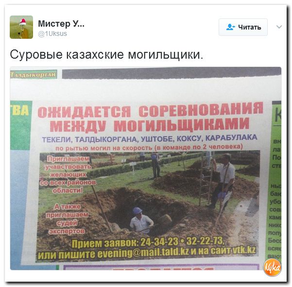 "Мыздобулы" в картинках. Смешных и не очень... 16-02-2017