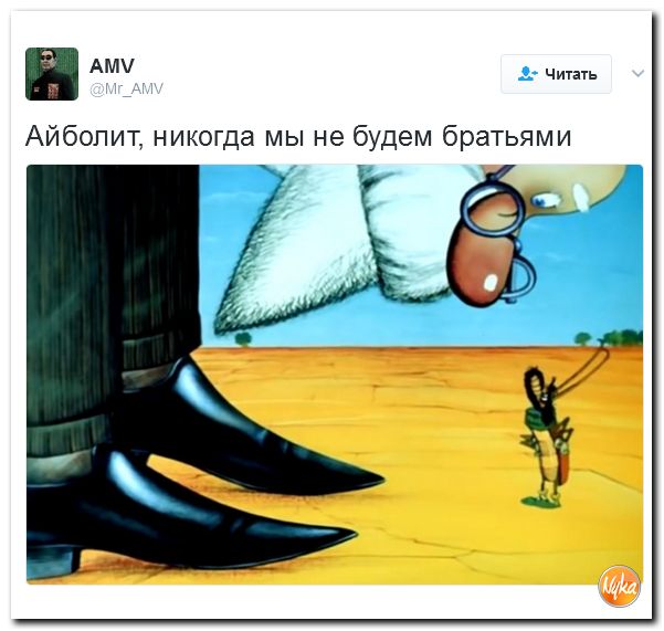"Мыздобулы" в картинках. Смешных и не очень... 16-02-2017