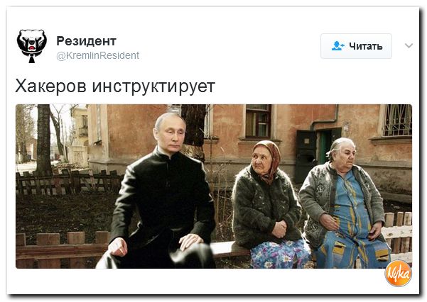 "Мыздобулы" в картинках. Смешных и не очень... 16-02-2017