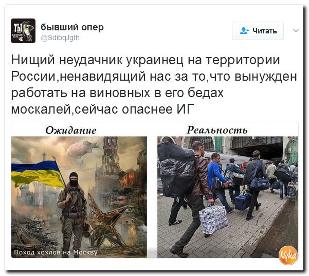 "Мыздобулы" в картинках. Смешных и не очень... 16-02-2017