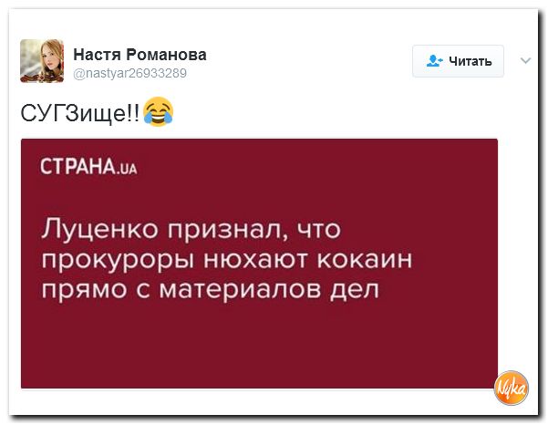"Мыздобулы" в картинках. Смешных и не очень... 16-02-2017